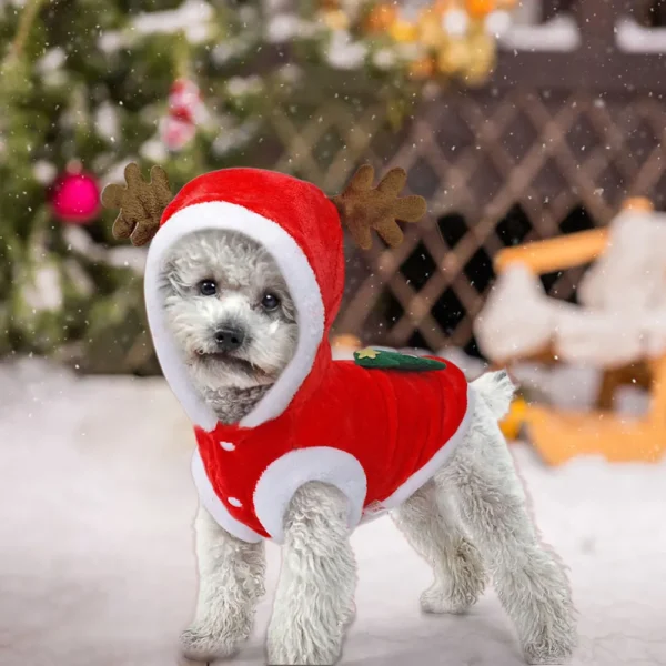 Pet Dog Christmas Clothes Costumes