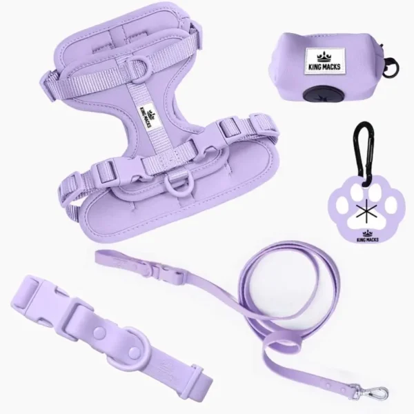 Adjustable Dog Harness Set