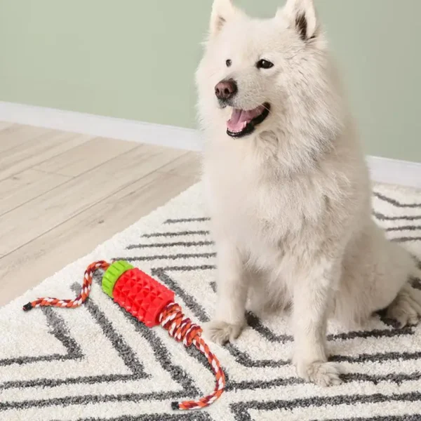 Dog Treat Dispensing Toys