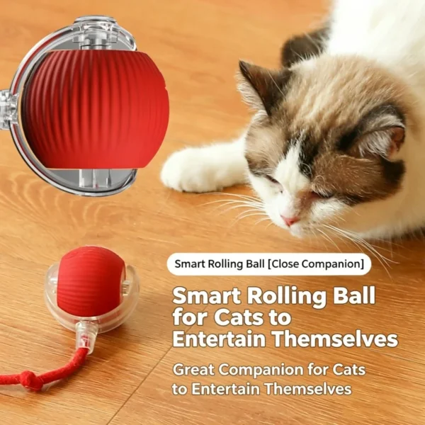 Automatic Moving Cat Toy Ball